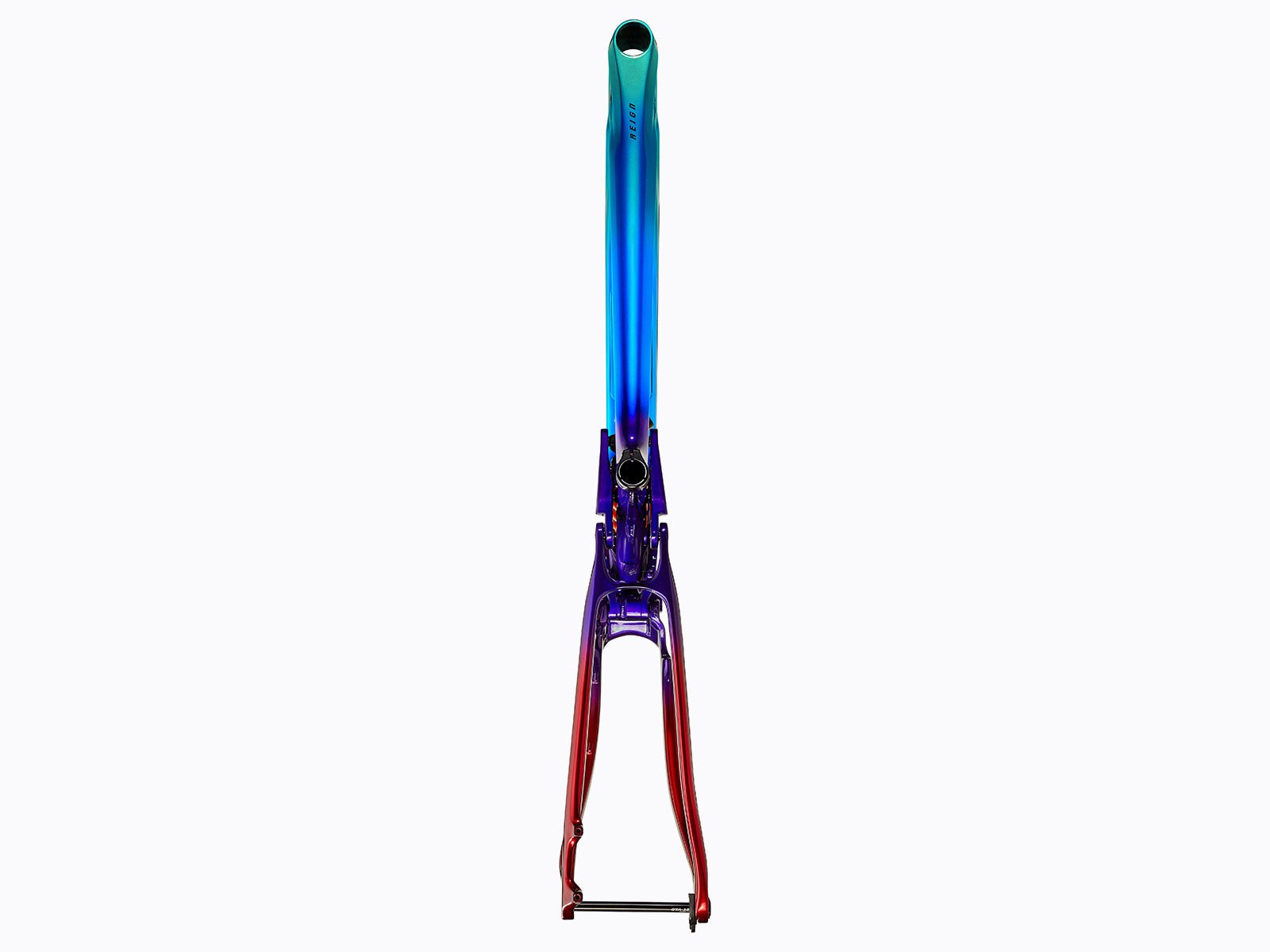 Giant Reign Advanced Frame